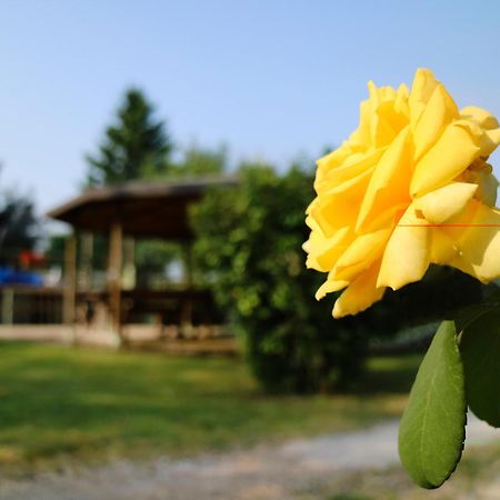 Agriturismo Ai Vigneti Ponti sul Mincio Extérieur photo