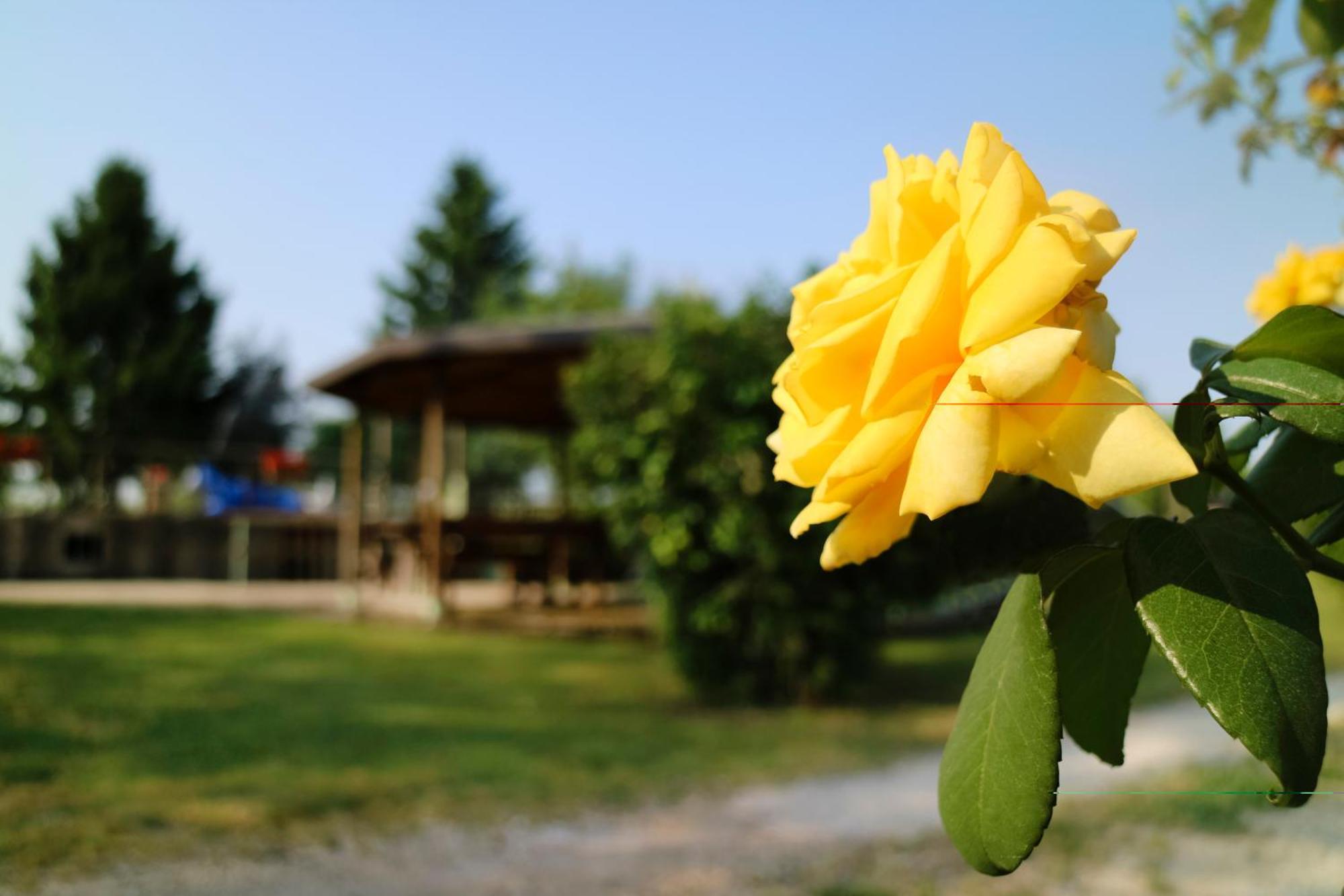 Agriturismo Ai Vigneti Ponti sul Mincio Extérieur photo